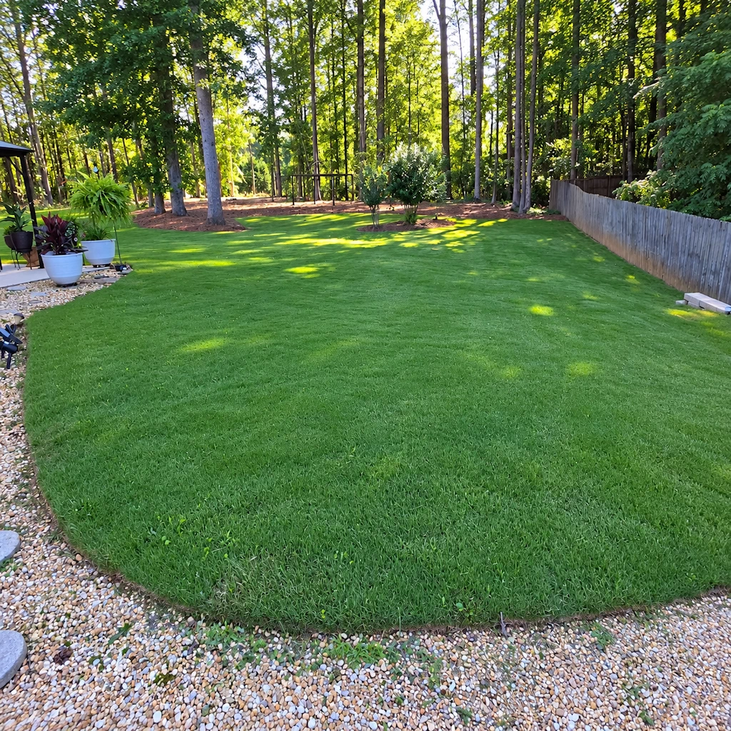 Fayetteville-Georgia-Sod-Installers